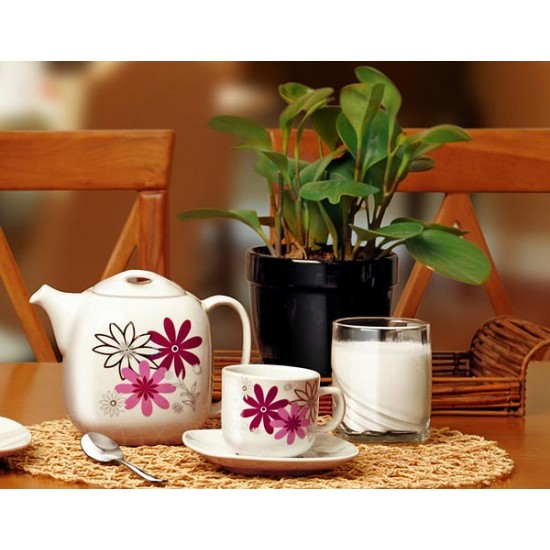 سرویس چینی زرین ویولا