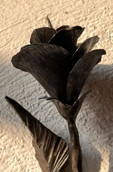 خرید گل رز سیاه آهنی